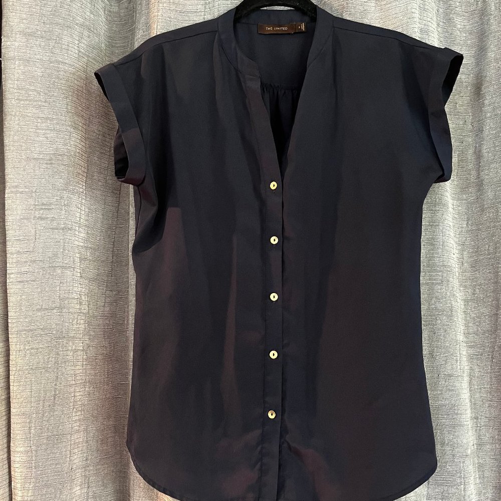 The Limited button down Silk blouse